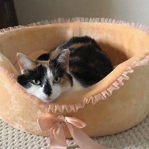 Meet your Posher, Erika